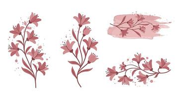 Elegant pink floral branches with delicate leaves and blossoms in minimal flat style illustration vector