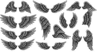 Detailed black feathered angel wings set in various shapes and sizes with realistic shading and texture in monochrome style illustration vector