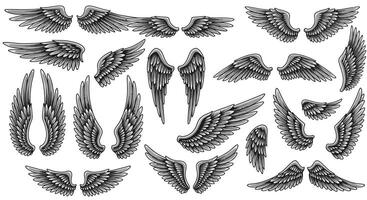 Detailed dark feathered bird wings in various shapes and positions with intricate linework black and white illustration vector