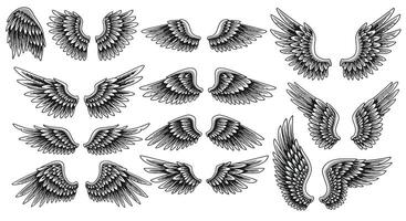 Detailed black and white angel wings collection in various shapes and positions with feather texture and shading art vector