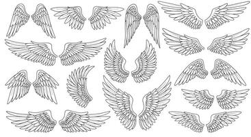 Detailed black and white feathered wings collection in hand-drawn style with various shapes and sizes illustration vector