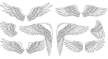 Detailed black and white hand-drawn bird wings set in various open and folded positions flat design art vector