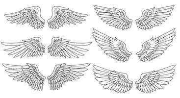 Detailed hand-drawn feathered wings in various angles and styles black and white sketch illustration vector