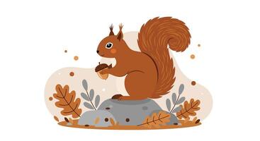 Red squirrel holding acorn in autumn setting with oak leaves flat minimal illustration vector