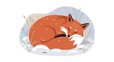 Sleeping red fox curled up in snowy winter setting with minimal flat design style illustration vector