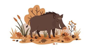 Wild boar walking through autumn forest foliage flat style with warm earth tones illustration vector