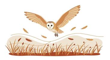 Barn owl flying over dry grass field with scattered feathers in flat minimal illustration vector