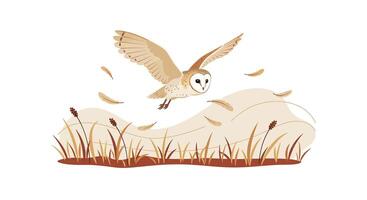Barn owl flying low over marsh with dry grasses and reeds minimal flat style illustration vector