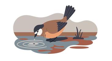 Brown duck drinking water from a calm pond with reflection and ripples flat minimal illustration vector