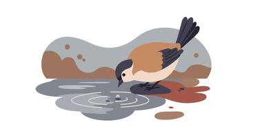 Small brown and black bird drinking water from pond in minimal flat design illustration vector