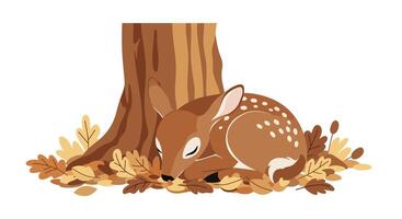 Sleeping fawn curled up beside tree trunk surrounded by autumn leaves flat design illustration vector