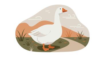 White domestic goose standing in natural outdoor setting with minimal flat design style illustration vector