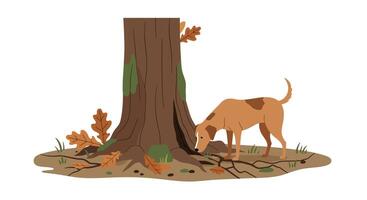 Brown dog sniffing around large tree trunk with autumn leaves in flat minimal art vector