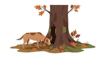 Brown dog sniffing near large tree trunk with autumn leaves in flat minimal illustration vector