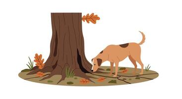 Brown dog sniffing around large old tree trunk with autumn leaves flat style illustration vector