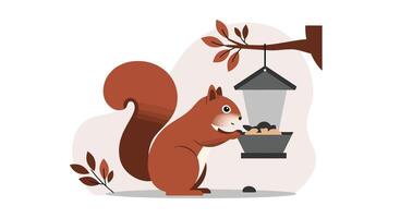 Red squirrel feeding from bird feeder hanging on tree branch in flat style illustration vector