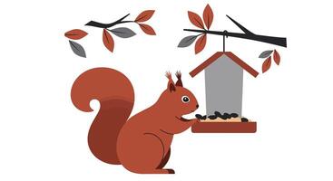 Woman reading book on wooden park bench in autumn leaves flat design illustration vector