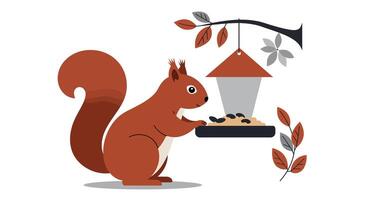 Red squirrel with bushy tail eating seeds from wooden bird feeder hanging on tree branch in flat minimal illustration vector
