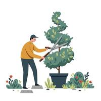 Man in casual clothing trimming a large potted topiary tree outdoors with garden shears, surrounded by small plants and bushes in a calm setting vector