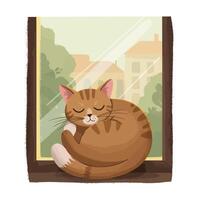 Sleeping brown tabby cat curled on windowsill in flat minimal style illustration vector