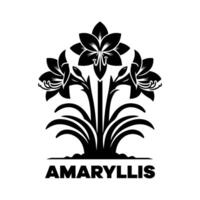 Amaryllis Black for Digital Design vector