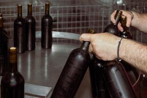 Winemaker placing bottles of red wine on metal table in winery photo