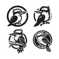 kookaburra outline image vector