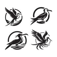 frigatebird artwork image vector