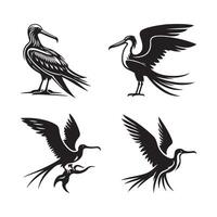 magnificent frigatebird silhouette icon vector