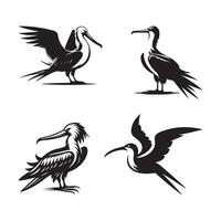 frigatebird art image vector