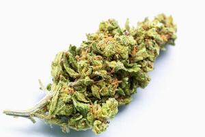 Macro shot of vivid green cannabis flower with visible crystals and fine hairs, presented on clean white background for medical or herbal use concepts. Bright cannabis bud on white backdrop photo