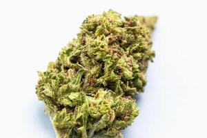 Macro image of single cannabis bud on white background, showing texture, trichomes and vibrant green tones for use in medical, wellness or lifestyle contexts. Close-up of cannabis flower bud photo