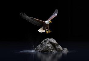 American Bald Eagle Flying Over Water With Reflection And Rock Formation photo