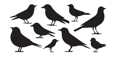 Crow Bird Silhouettes in Black and White Minimalist Illustration for Avian and Ornithological Art vector
