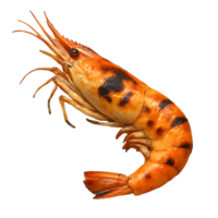 Transparent background shrimp on display culinary delight high-quality image focused view png
