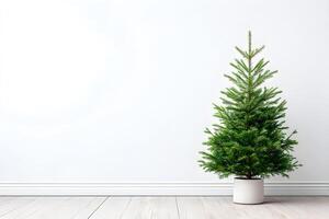 Empty wall blank copy space featuring a potted tree in a minimalist room with wooden flooring and a bright atmosphere photo