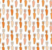 carrot pattern design hand draw white background vector