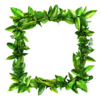 Green Leafy Square Frame Perfect For Natural Themed Celebrations Isolated on a Transparent Background png