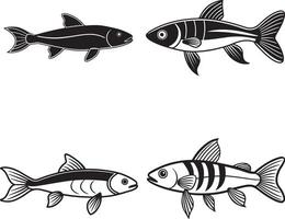 Zebra Danio Fish Drawing High Quality with Transparent vector