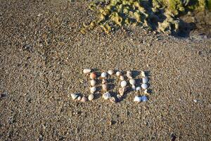 Word JOY formed from small seashells on a sandy beach. The shells vary in size and color, adding a whimsical touch to the composition. photo