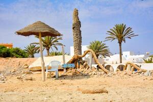 Serene beach scene. Tunisian coastline place with a straw umbrella, palm trees and blue sky. Rustic charm of the coastal setting photo