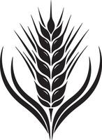 An artistic black and white illustration of a wheat stalk with detailed grain and sharp points vector