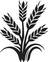 Black and white graphic illustration of a wheat stalk arrangement with several wheat heads vector