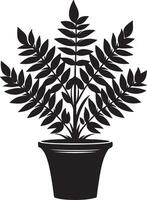 A simple black and white illustration of a potted plant with detailed leaves and a classic pot design vector