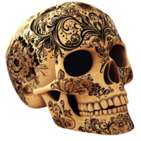 Ornate floral skull with intricate patterns, a decorative and artistic representation of mortality and remembrance on a transparent background png