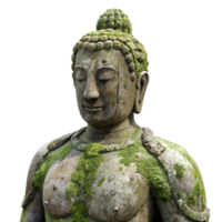 extraordinary modern Weathered Stone Statue with Moss Detail Isolated authentic png