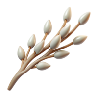 serene vintage Whispering Willow Branch Cutout Transparent Background high resolution png