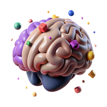vibrant rustic Brain Scan 3d Model Rotating View Transparent Background authentic png