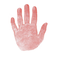 A detailed illustration of human handprint with visible lines and creases, set against transparent background. handprint is depicted in reddish hue, emphasizing its texture and unique patterns png