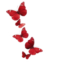 A Five vibrant red butterflies with delicate white spots gracefully flutter against transparency background, creating striking contrast and sense of movement png
